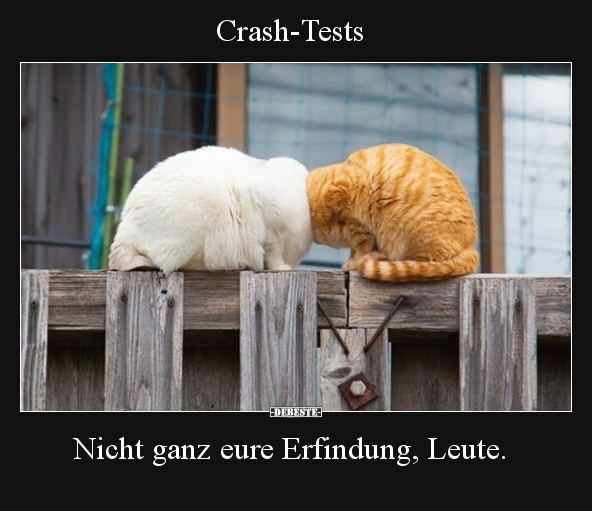 Crash-Tests.. - Lustige Bilder | DEBESTE.de