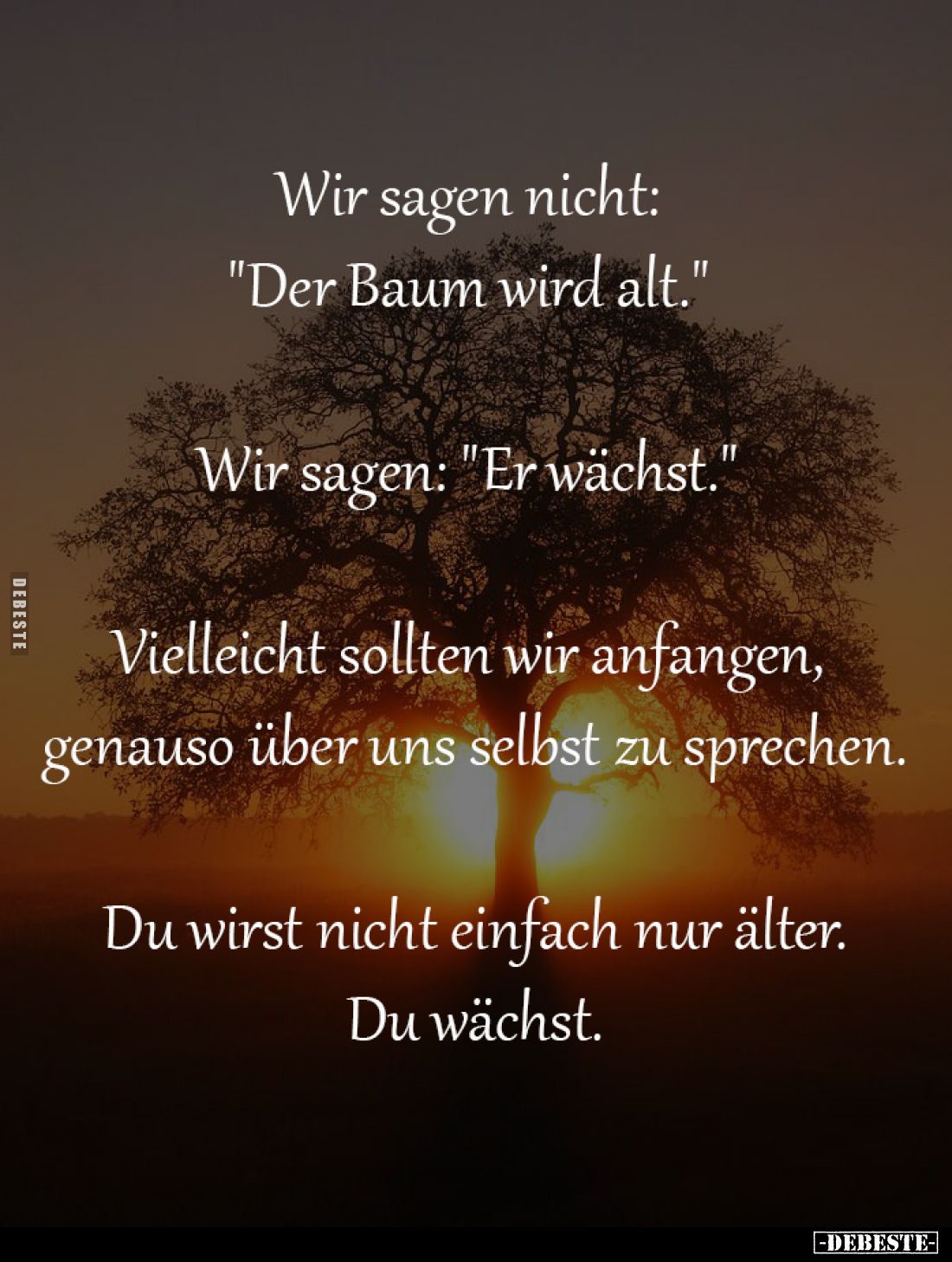 Wir sagen nicht: 
"Der Baum wird alt." 
-
Wir sagen: "Er wächst." 
-
Vielleicht sollten wir anfangen...