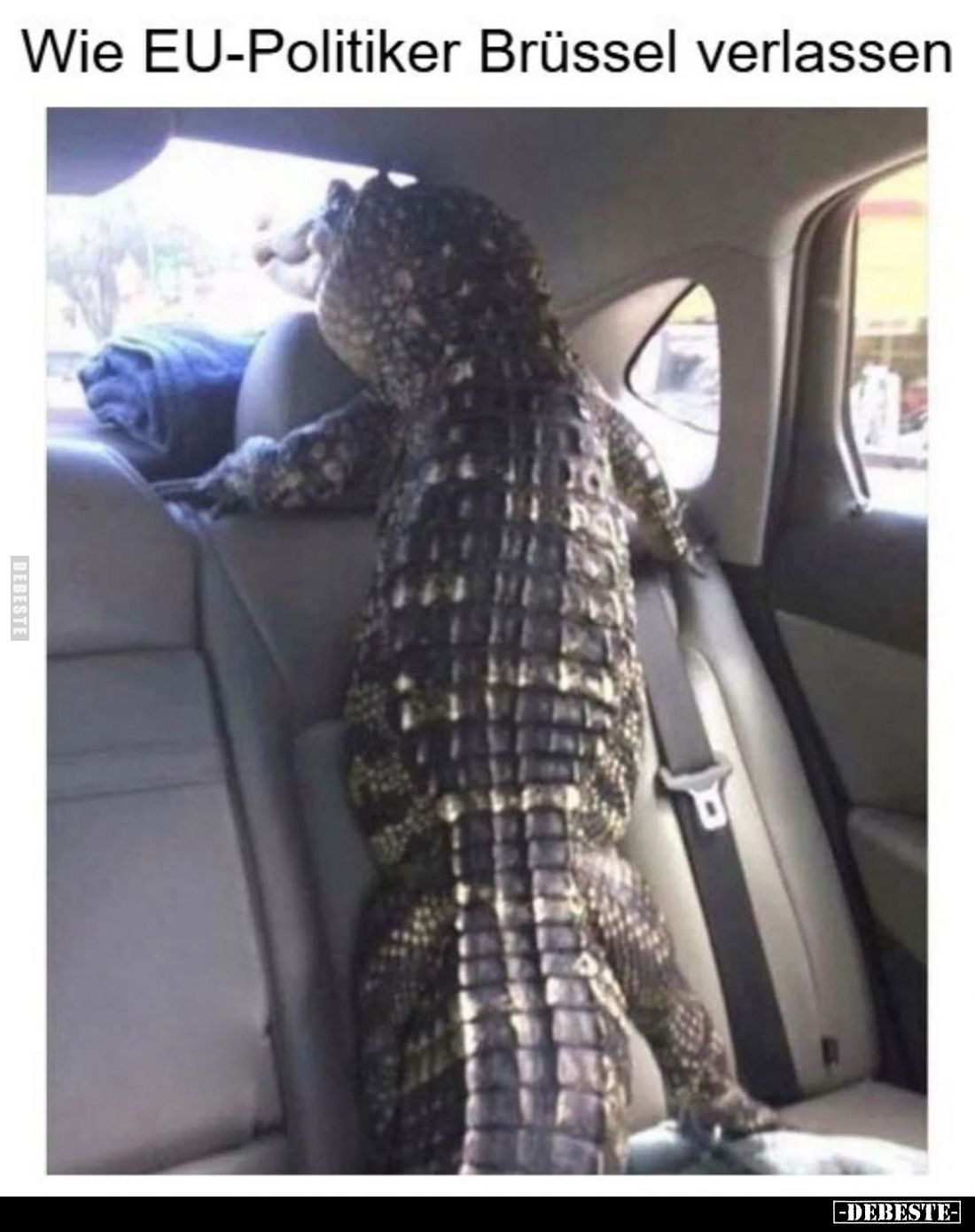 Wie EU-Politiker Brüssel verlassen
