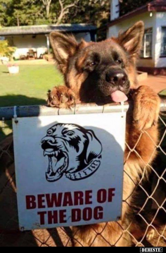  - Lustige Bilder | DEBESTE.de