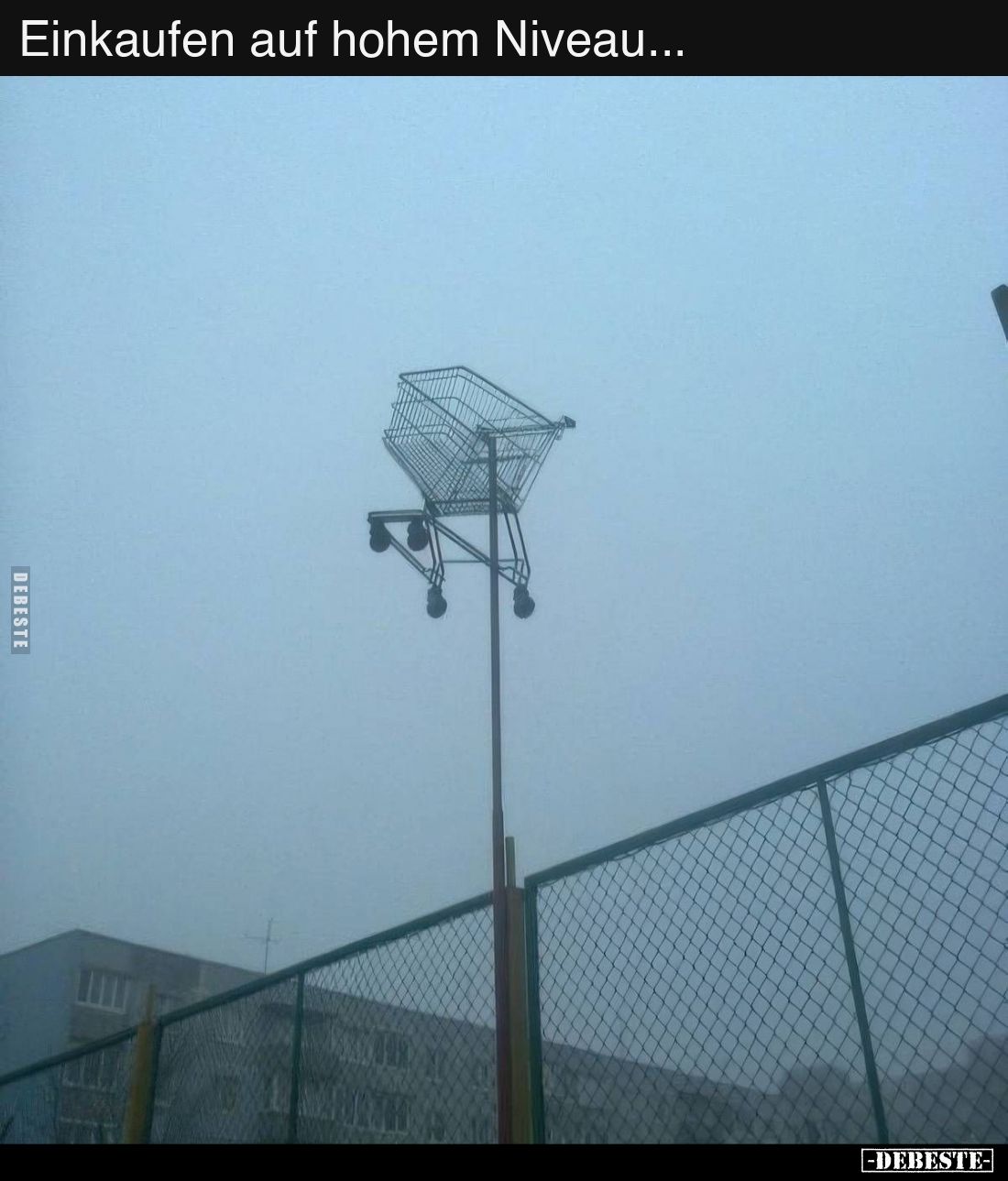 Einkaufen auf hohem Niveau...
