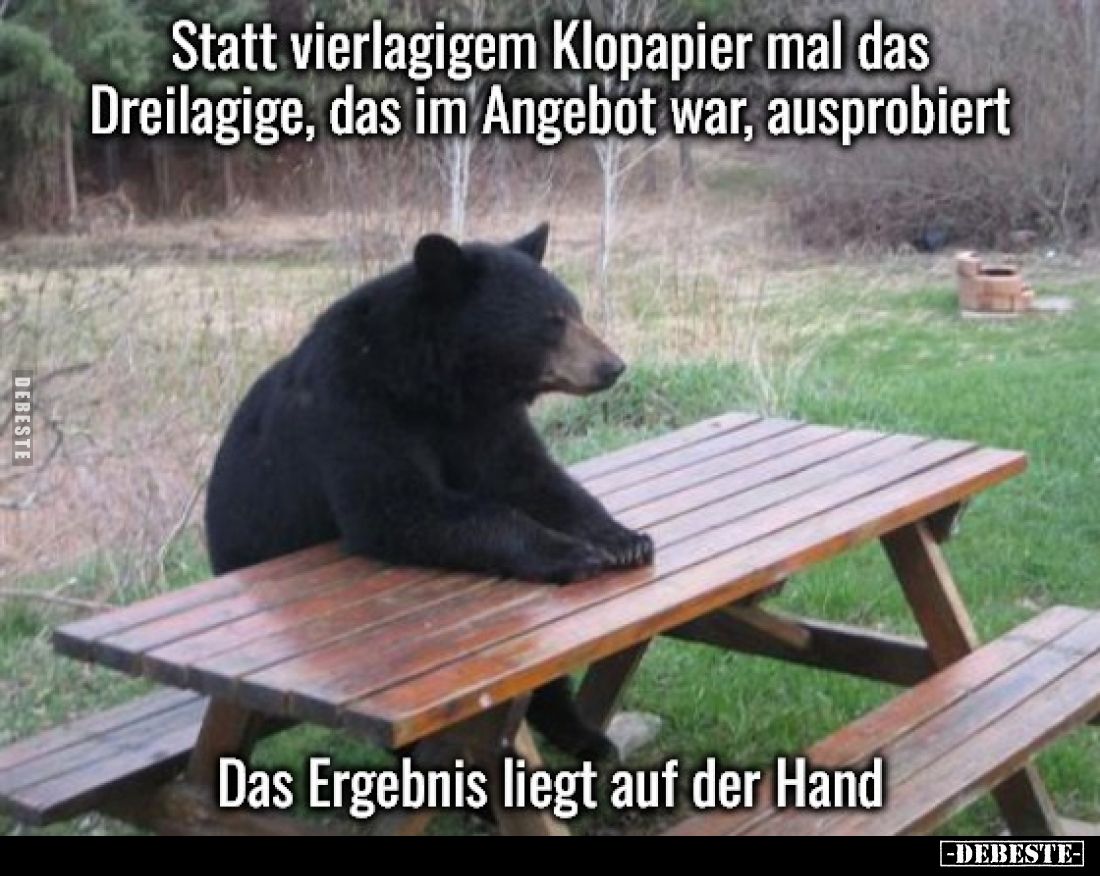 Statt vierlagigem Klopapier mal das Dreilagige, das im Angebot war, ausprobiert.

Das Ergebnis liegt auf der Hand.