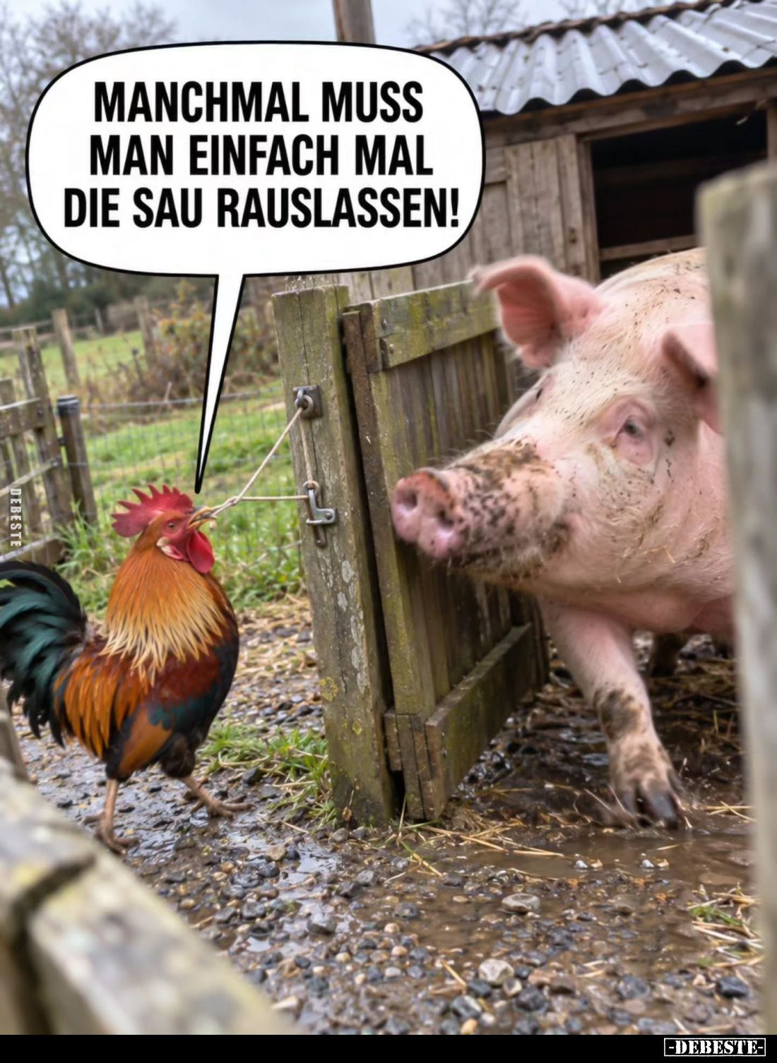 Manchmal muss man einfach mal die Sau rauslassen!.. - Lustige Bilder | DEBESTE.de