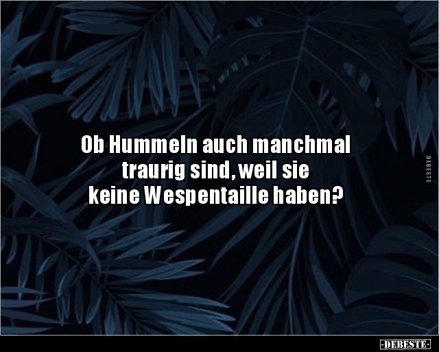 Ob Hummeln auch manchmal traurig sind, weil sie.. - Lustige Bilder | DEBESTE.de