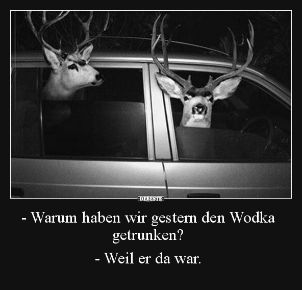 - Warum haben wir gestern den Wodka getrunken?.. - Lustige Bilder | DEBESTE.de