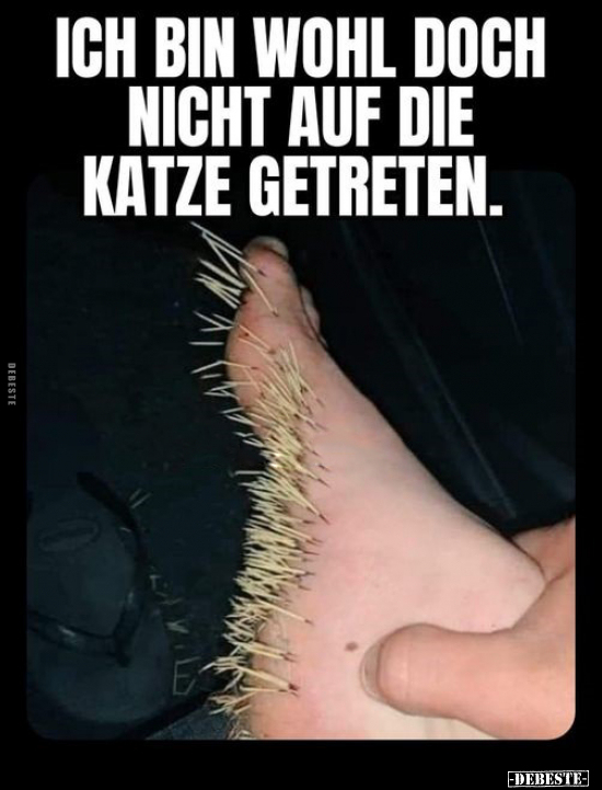 Ich bin wohl doch nicht auf die Katze getreten.. - Lustige Bilder | DEBESTE.de