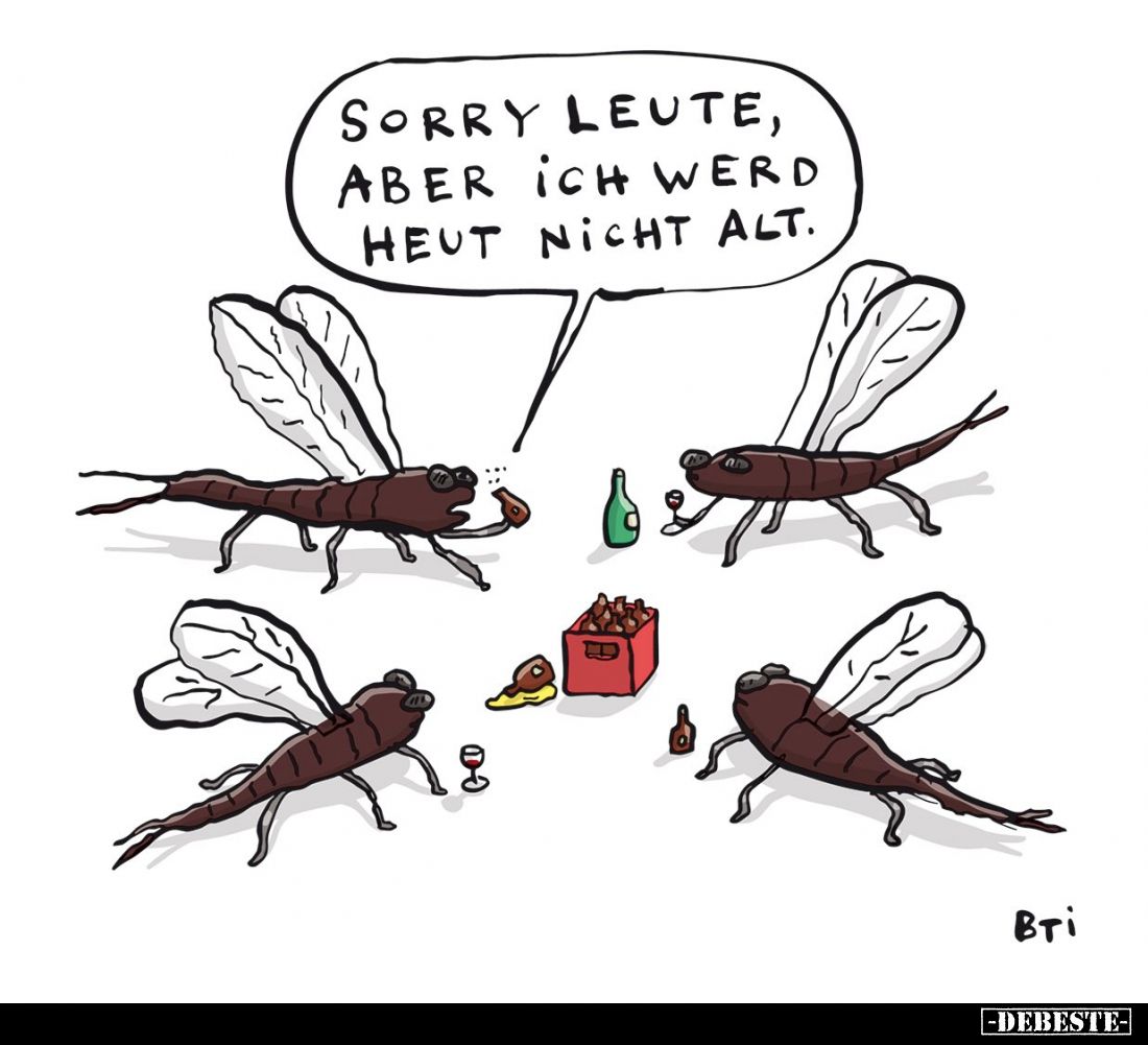 Sorry Leute, aber ich werd heut nicht alt.