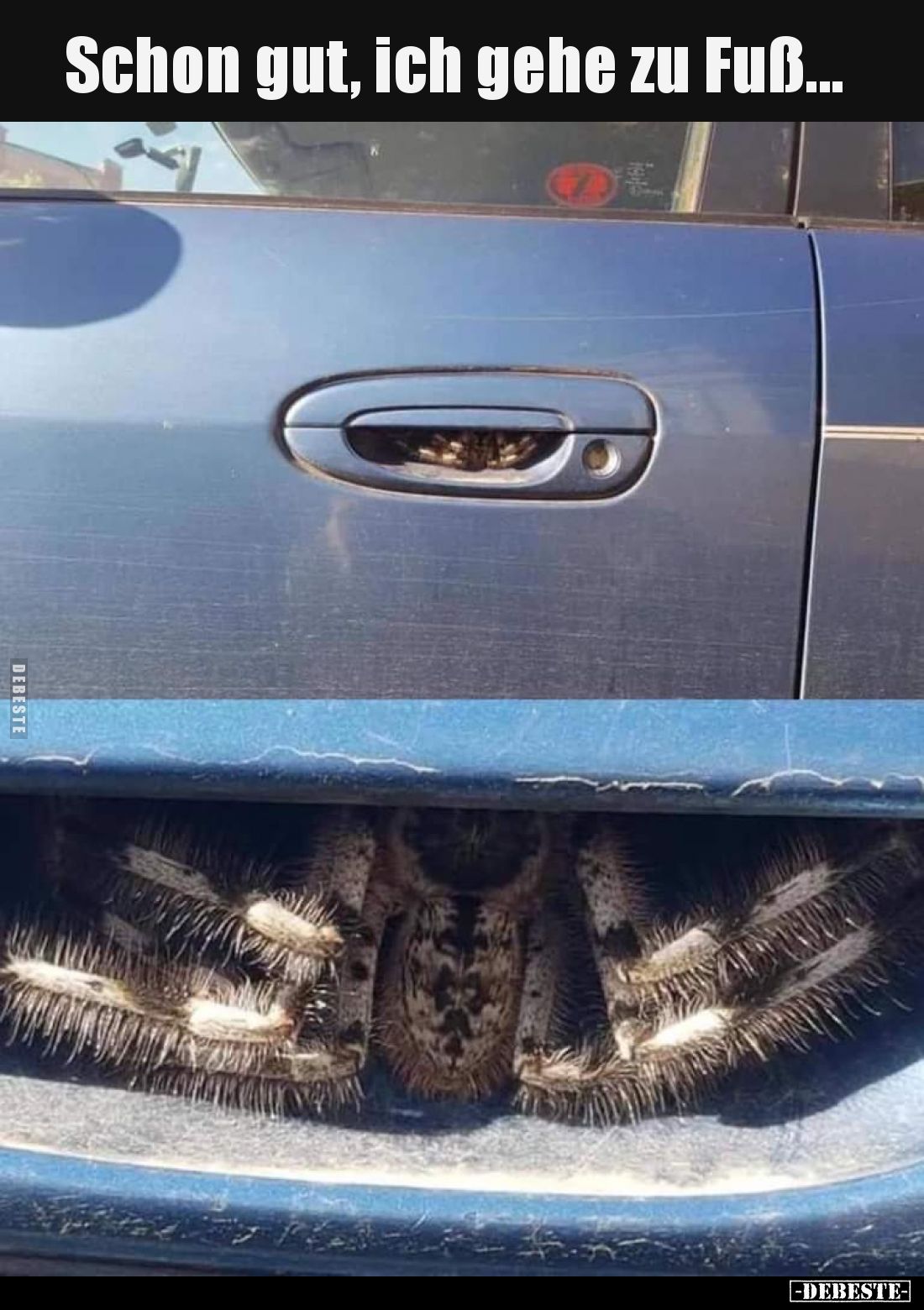 Schon gut, ich gehe zu Fuß...