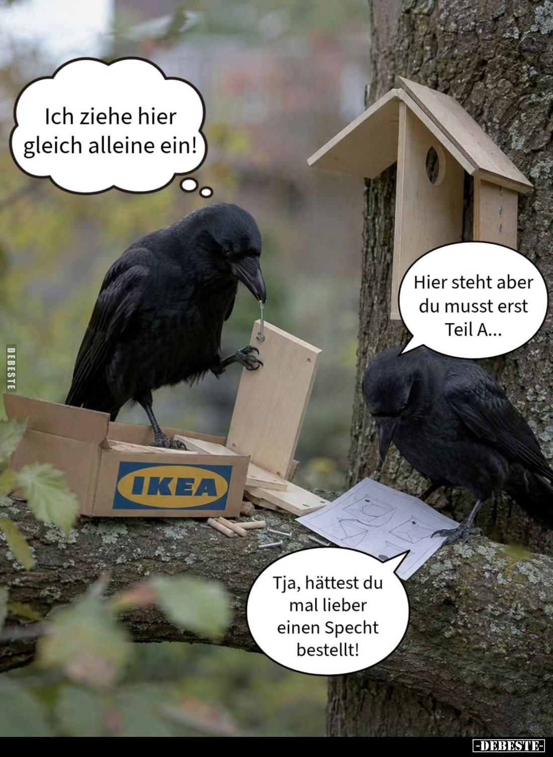 Ich ziehe hier gleich alleine ein!
-
Hier steht aber du musst erst Teil A...
-
Tja, hättest du mal lieber einen Specht be...