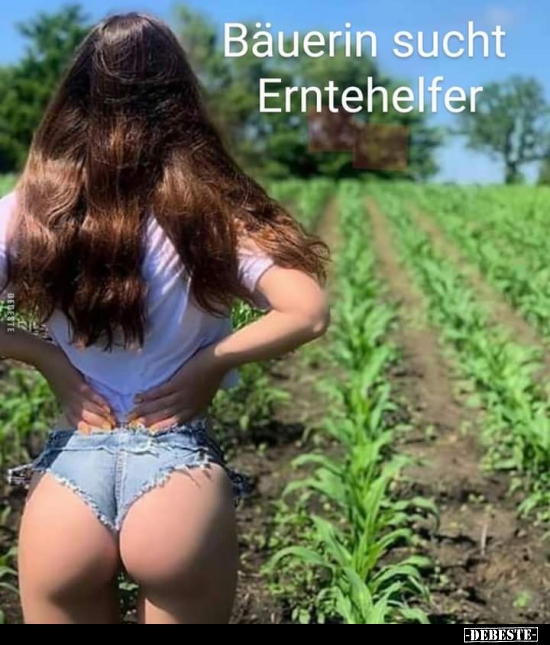 Bäuerin sucht Erntehelfer...