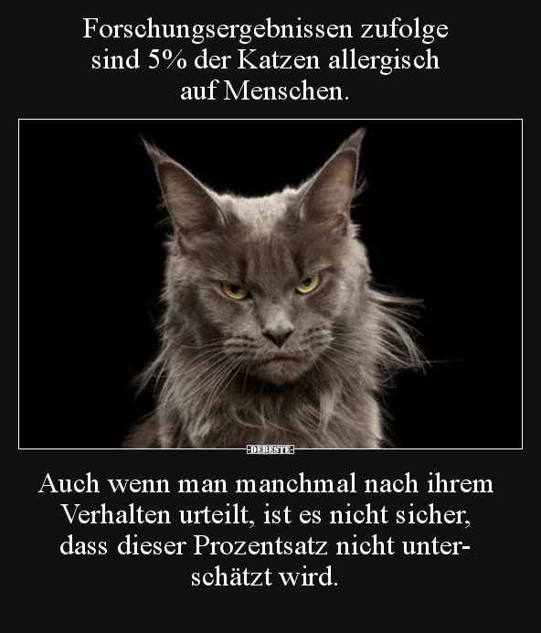Forschungsergebnissen zufolge sind 5% der Katzen.. - Lustige Bilder | DEBESTE.de