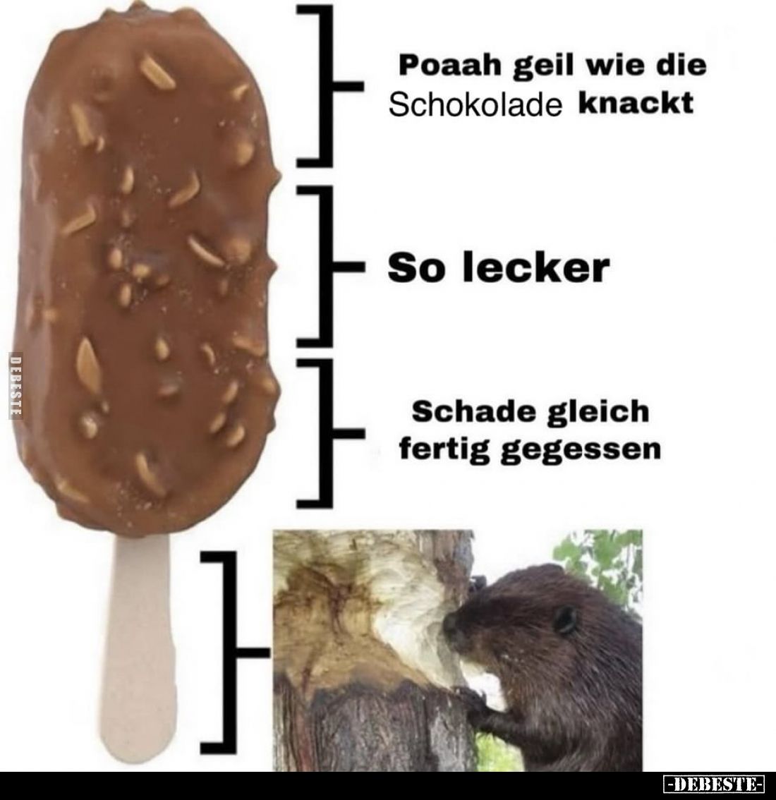 Poaah geil wie die Schokolade knackt.
-
So lecker. -
Schade gleich fertig gegessen.