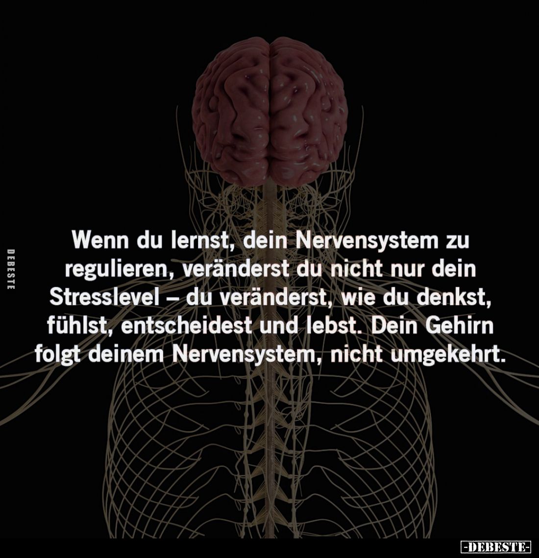Wenn du lernst, dein Nervensystem zu regulieren... - Lustige Bilder | DEBESTE.de