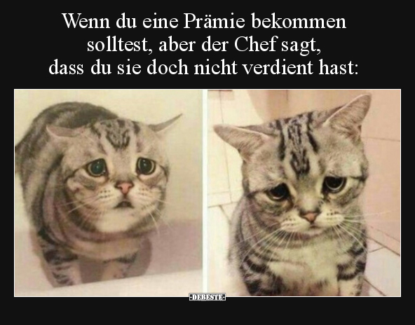 Wenn du eine Prämie bekommen solltest, aber der Chef sagt.. - Lustige Bilder | DEBESTE.de