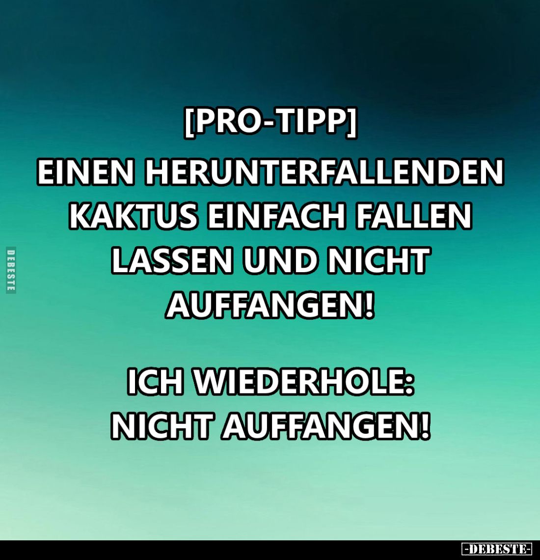 Einen herunterfallenden Kaktus einfach fallen lassen und nicht auffangen!
Ich wiederhole: nicht auffangen!