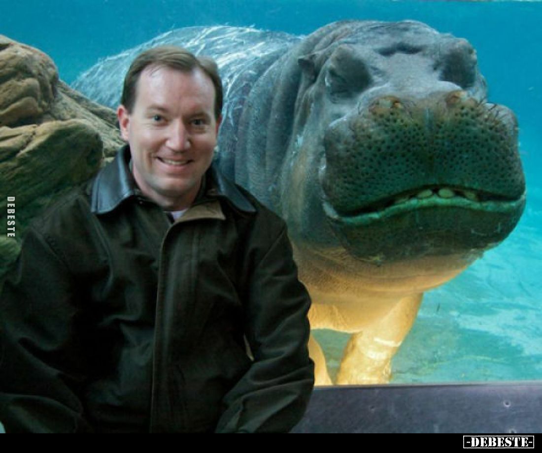  - Lustige Bilder | DEBESTE.de