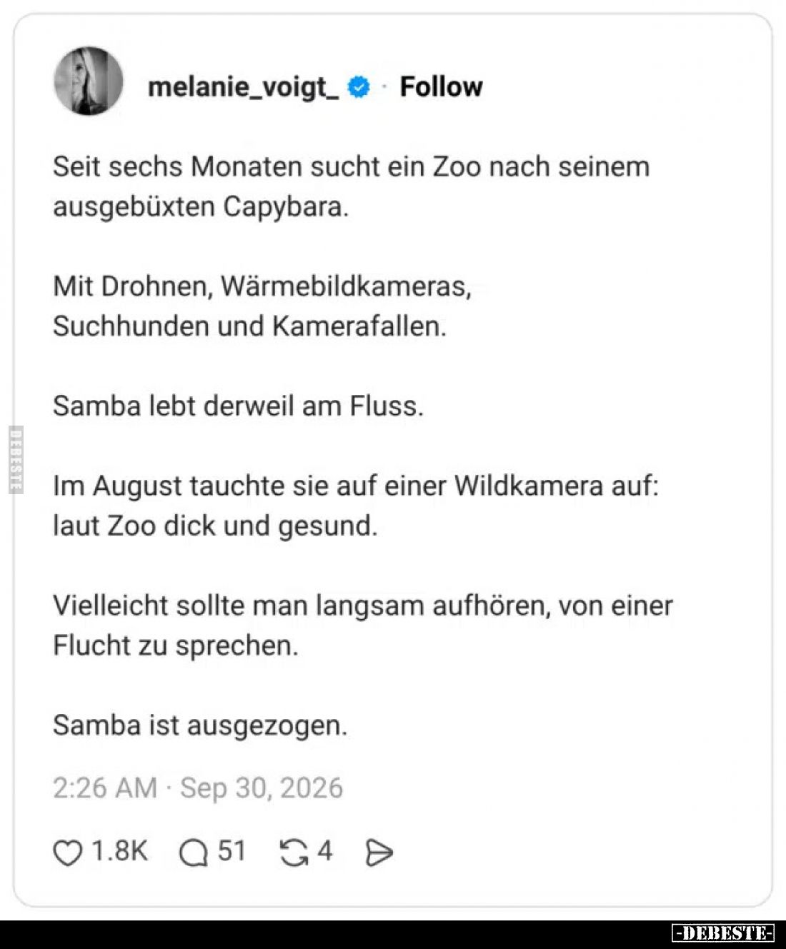 Seit sechs Monaten sucht ein Zoo nach seinem ausgebüxten Capybara.

Mit Drohnen, Wärmebildkameras, Suchhunden und Kamerafal...