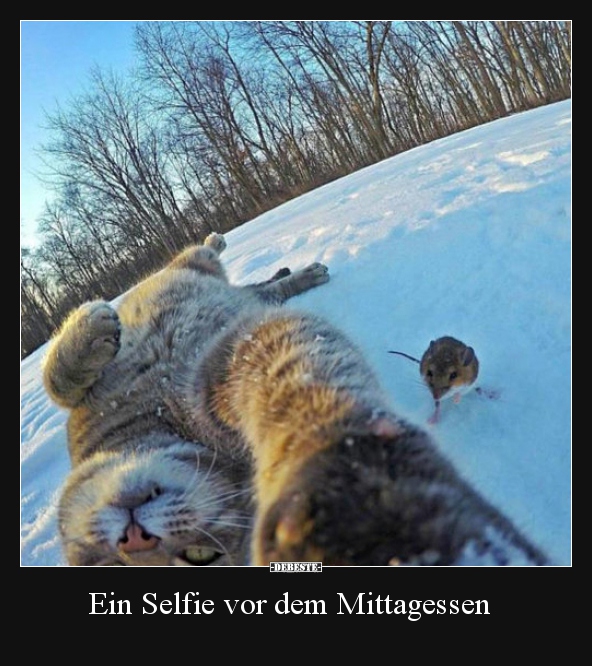 Ein Selfie vor dem Mittagessen.. - Lustige Bilder | DEBESTE.de