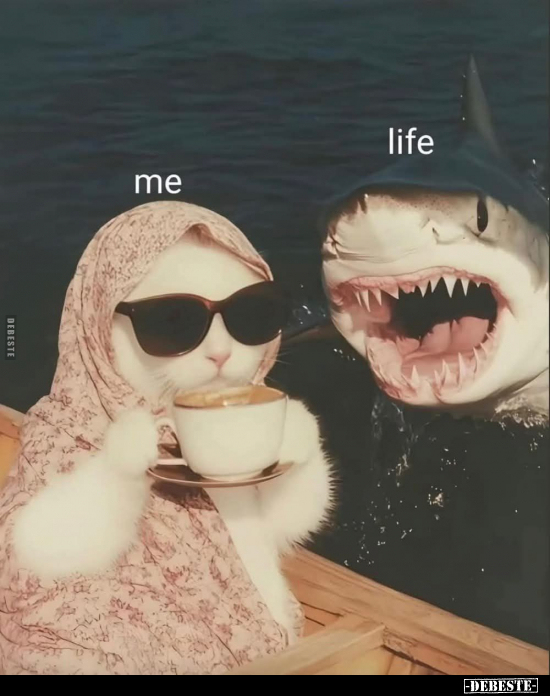Me and life.