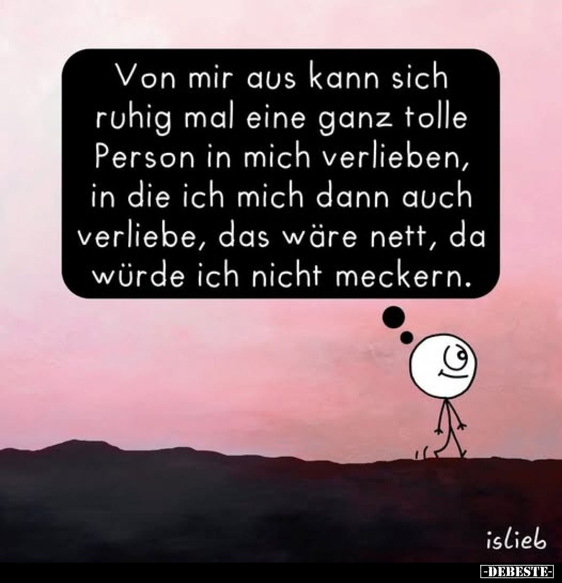 Von mir aus kann sich ruhig mal eine ganz tolle Person in mich verlieben, in die ich mich dann auch verliebe, das wäre nett, ...