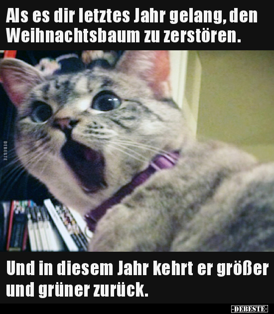 Als es dir letztes Jahr gelang, den Weihnachtsbaum zu..