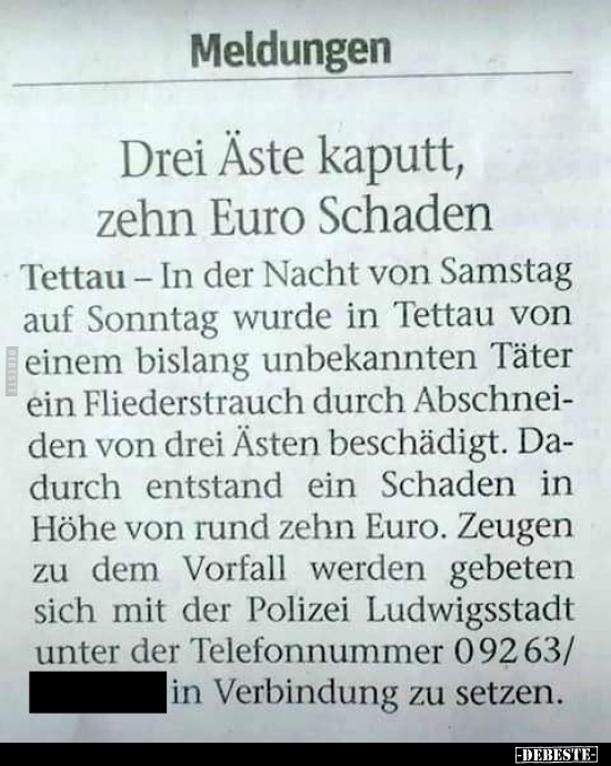 Meldungen - Drei Äste kaputt, zehn Euro Schaden.. - Lustige Bilder | DEBESTE.de