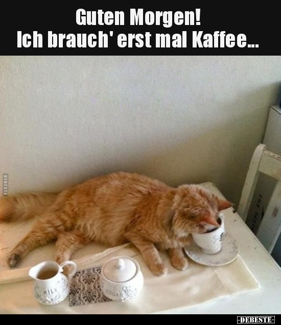 Guten Morgen! Ich brauch' erst mal Kaffee... - Lustige Bilder | DEBESTE.de