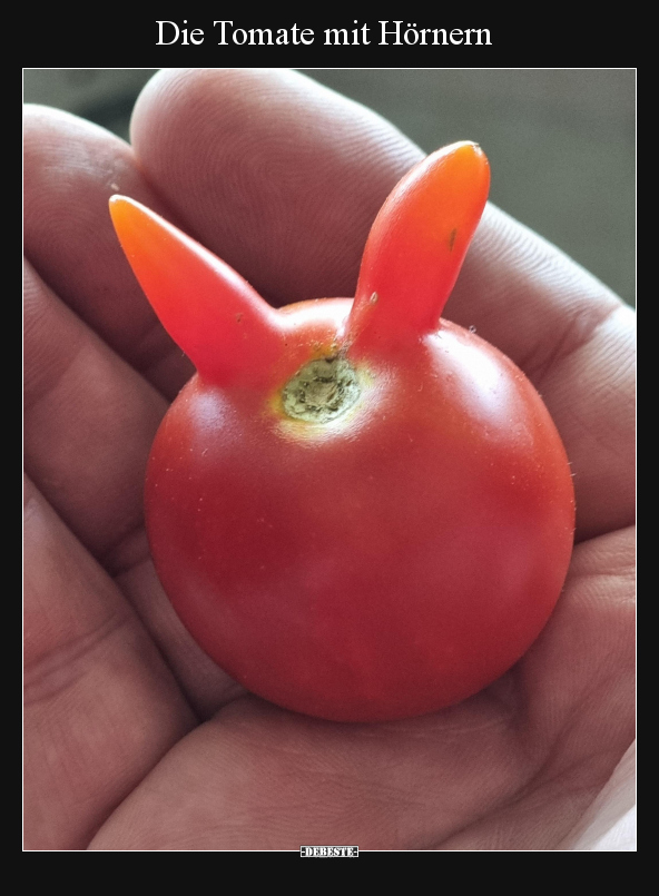 Die Tomate mit Hörnern.. - Lustige Bilder | DEBESTE.de