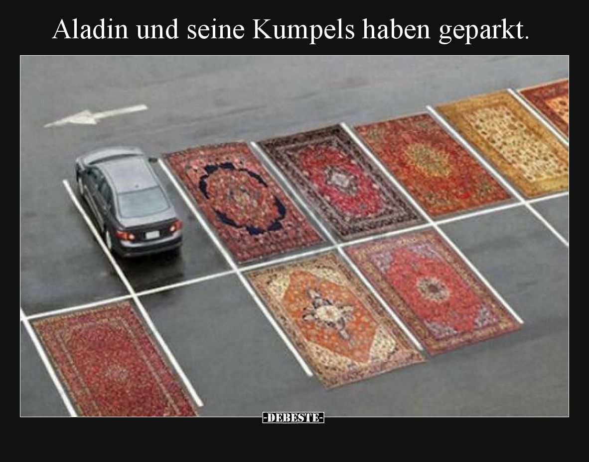 Aladin und seine Kumpels haben geparkt... - Lustige Bilder | DEBESTE.de