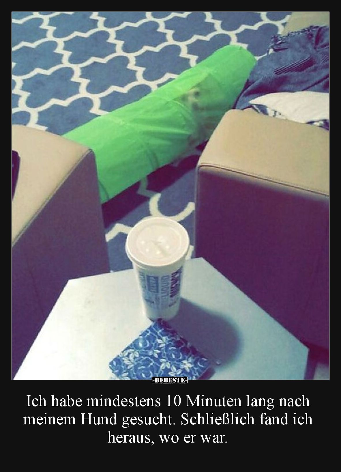 Ich habe mindestens 10 Minuten lang nach meinem Hund gesucht. Schließlich fand ich heraus, wo er war.