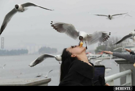  - Lustige Bilder | DEBESTE.de