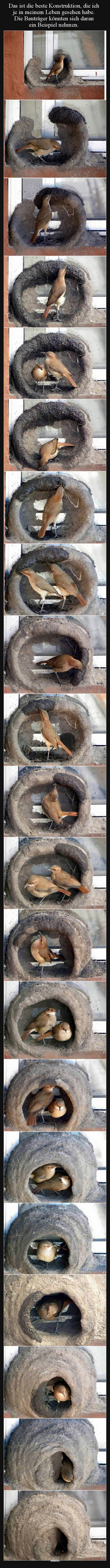 Das ist die beste Konstruktion, die ich je in meinem Leben..