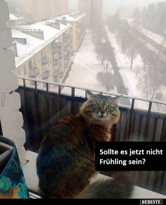 Sollte es jetzt nicht Frühling sein?..