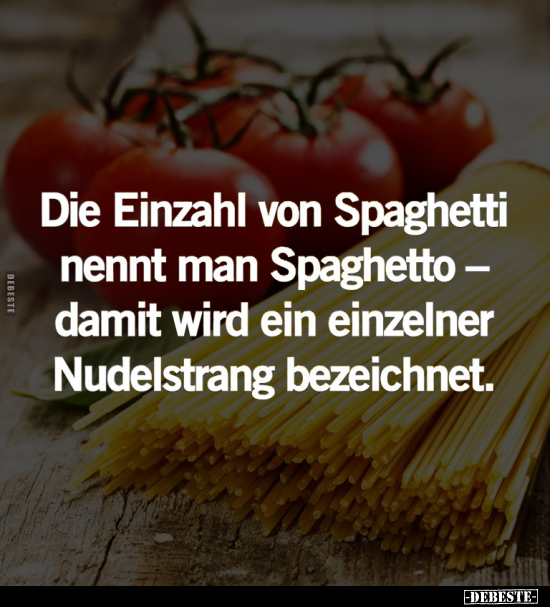 Die Einzahl von Spaghetti nennt man Spaghetto.. - Lustige Bilder | DEBESTE.de