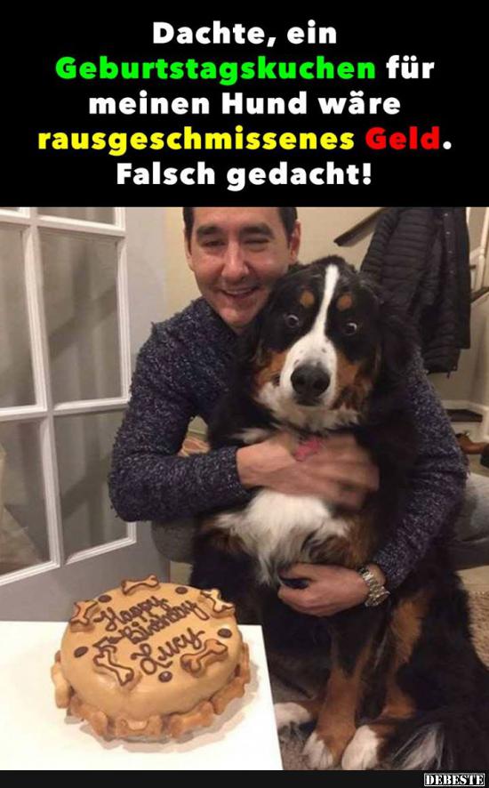 Dachte, ein Geburstagskuchen für meinen Hund wäre.. - Lustige Bilder | DEBESTE.de