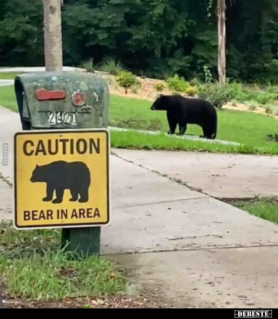  - Lustige Bilder | DEBESTE.de