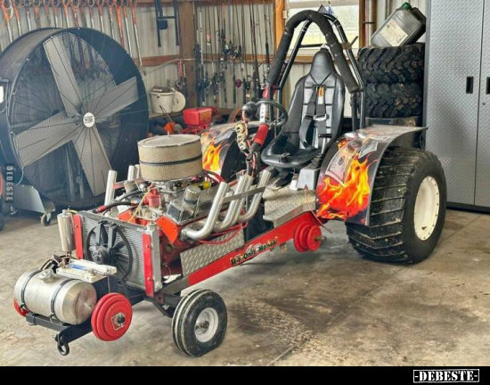  - Lustige Bilder | DEBESTE.de