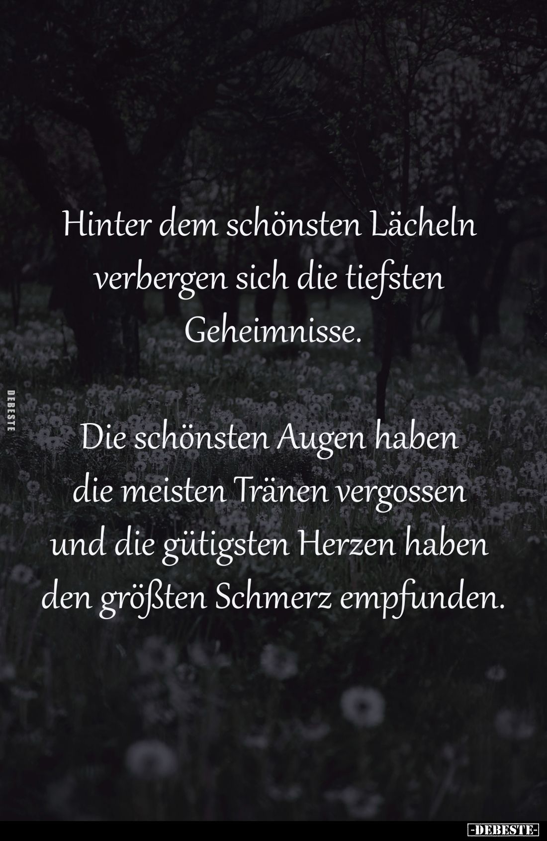 Hinter dem schönsten Lächeln 
verbergen sich die tiefsten 
Geheimnisse.

Die schönsten Augen haben 
die meisten Tränen v...
