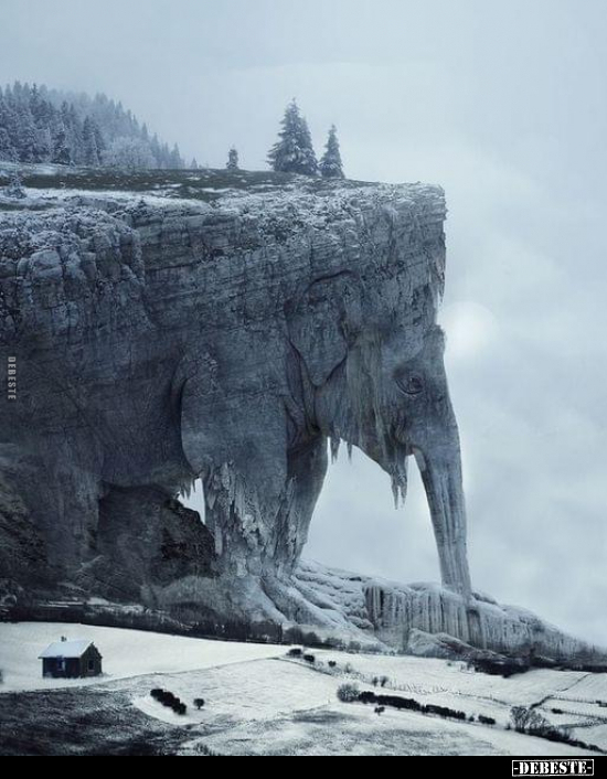  - Lustige Bilder | DEBESTE.de