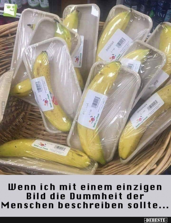 Wenn ich mit einem einzigen Bild die Dummheit der Menschen..