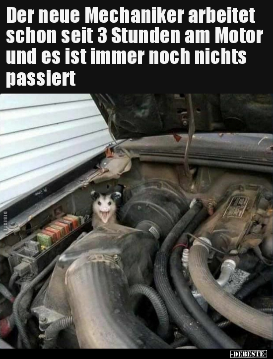 Der neue Mechaniker arbeitet schon seit 3 Stunden am Motor.. - Lustige Bilder | DEBESTE.de