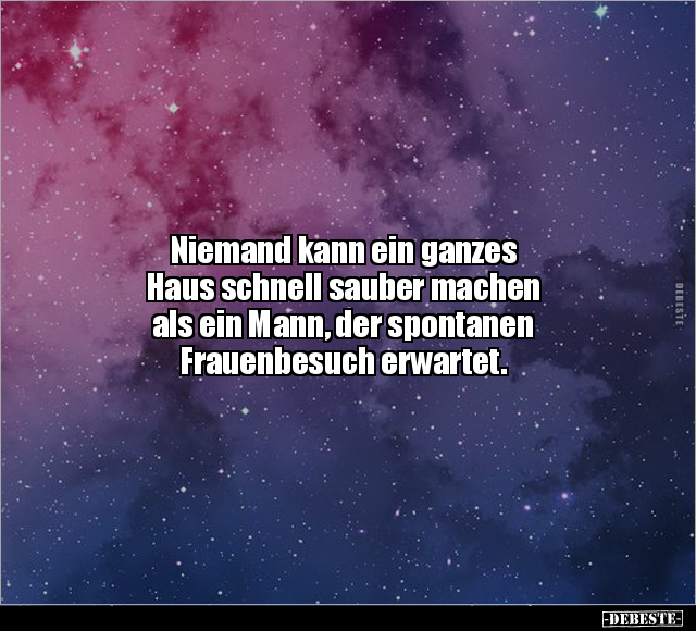 Niemand kann ein ganzes Haus schnell sauber machen als.. - Lustige Bilder | DEBESTE.de