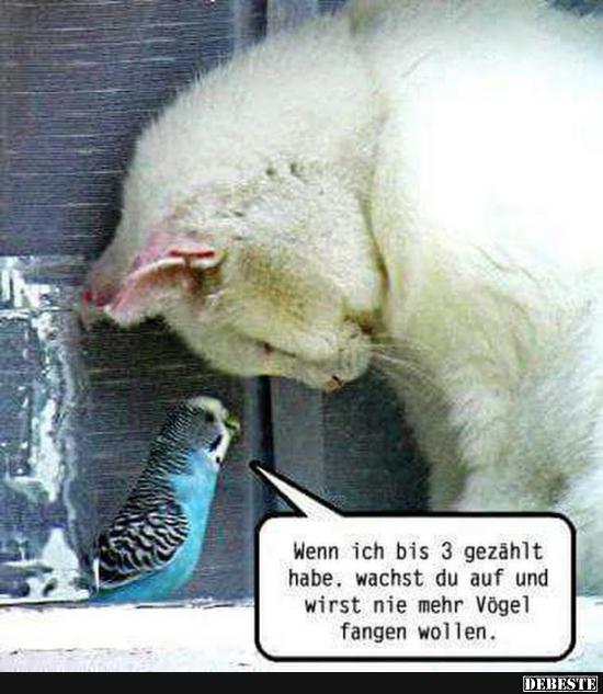 Wenn ich bis 3 gezählt habe..