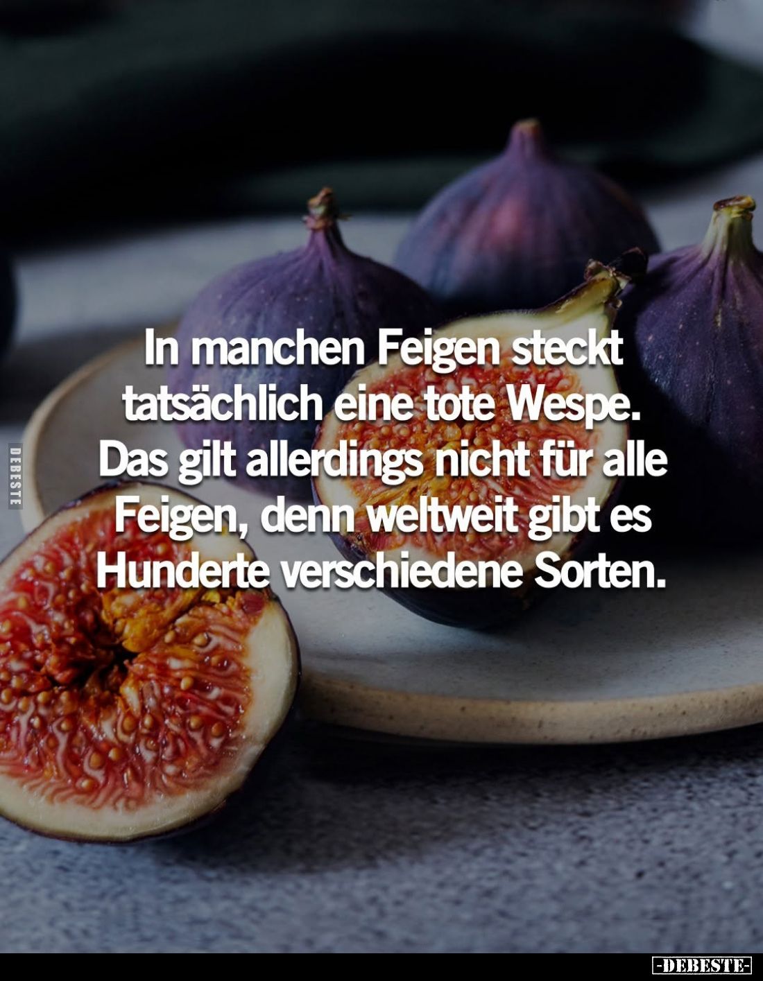 In manchen Feigen steckt tatsächlich eine tote Wespe. Das gilt allerdings nicht für alle Feigen, denn weltweit gibt es Hunder...