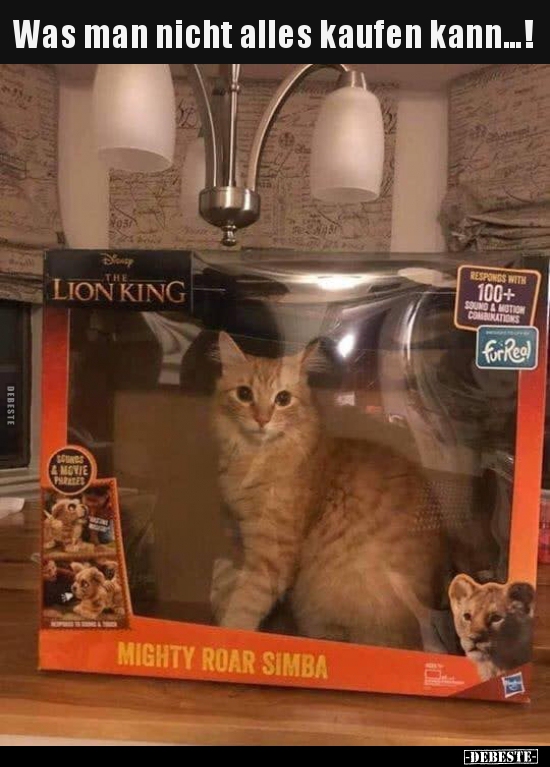Was man nicht alles kaufen kann...!