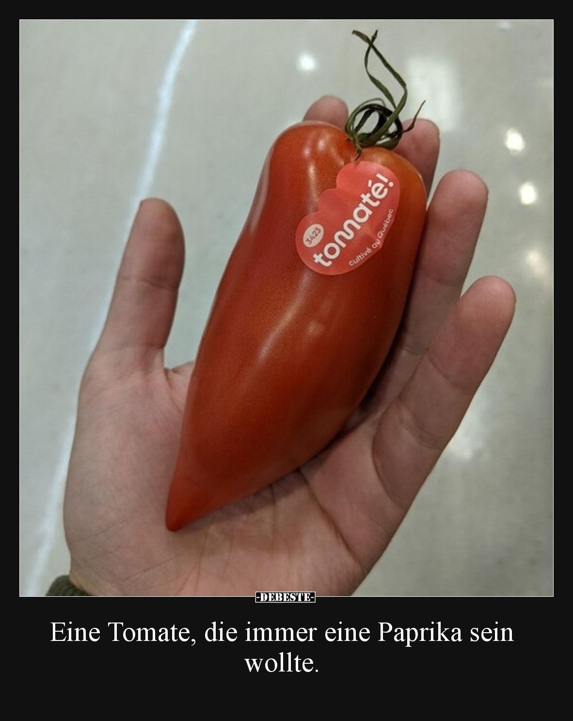 Eine Tomate, die immer eine Paprika sein wollte.