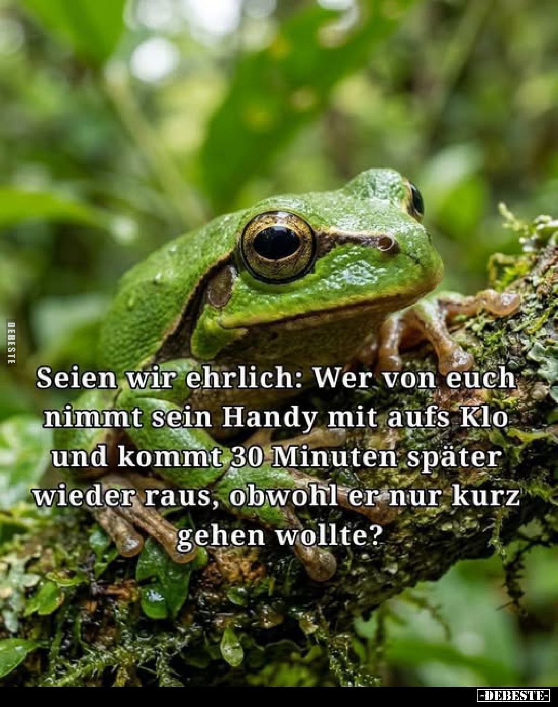 Seien wir ehrlich: Wer von euch nimmt sein Handy mit aufs Klo und kommt 30 Minuten später wieder raus, obwohl er nur kurz geh...