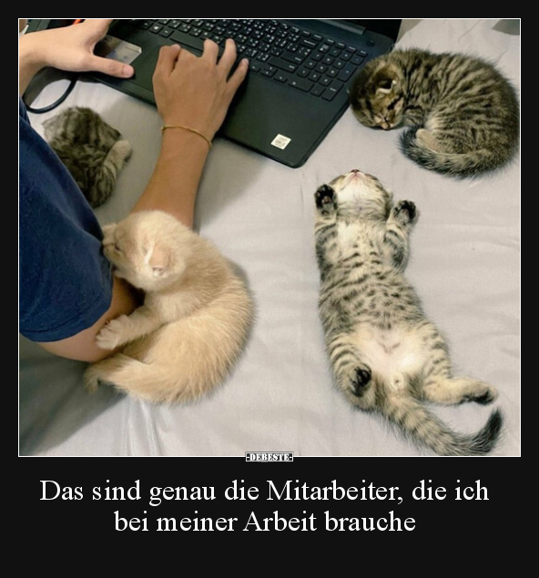Das sind genau die Mitarbeiter, die ich bei meiner Arbeit.. - Lustige Bilder | DEBESTE.de