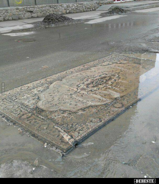  - Lustige Bilder | DEBESTE.de