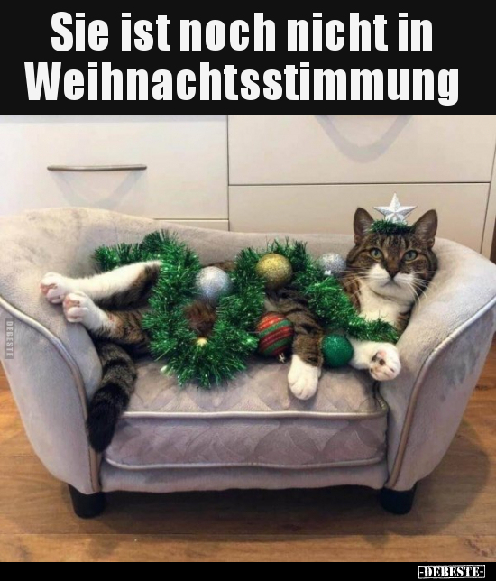 Sie ist noch nicht in Weihnachtsstimmung..